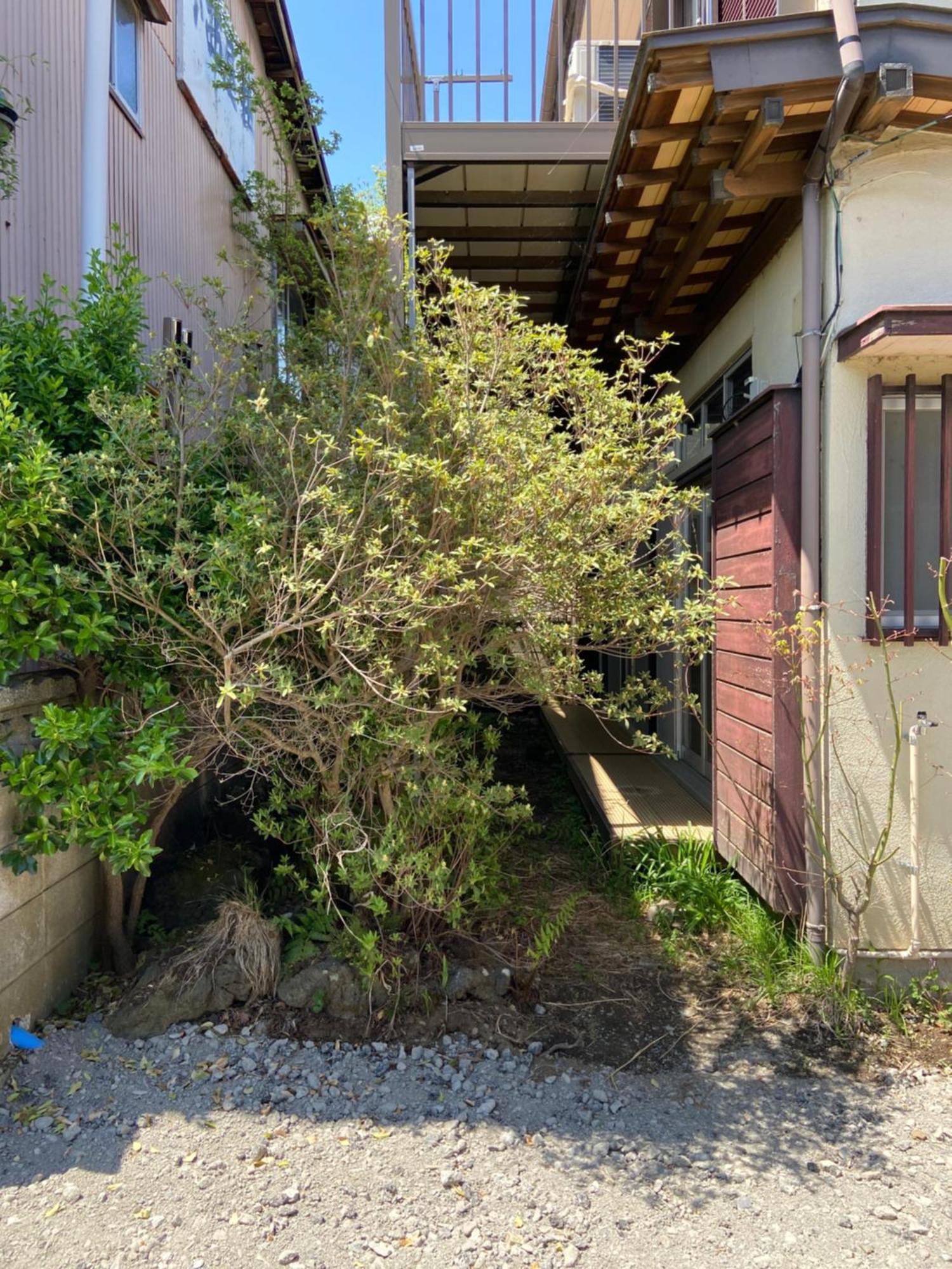 慶村 歌舞伎 Appartement Fujikawaguchiko Buitenkant foto